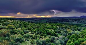 Tipping Point The ecological consequences of Climate Change in Australia